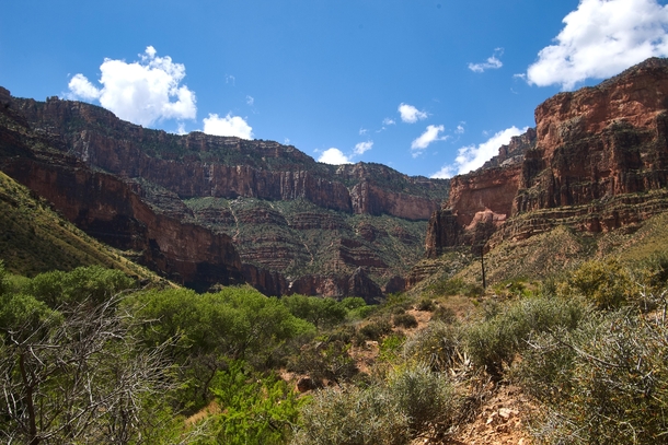 Facing the South Rim of the Grand Canyon Grand Canyon National Park Arizona 