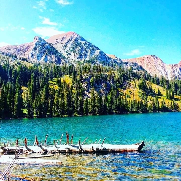 Fairy Lake Bozeman Montana 