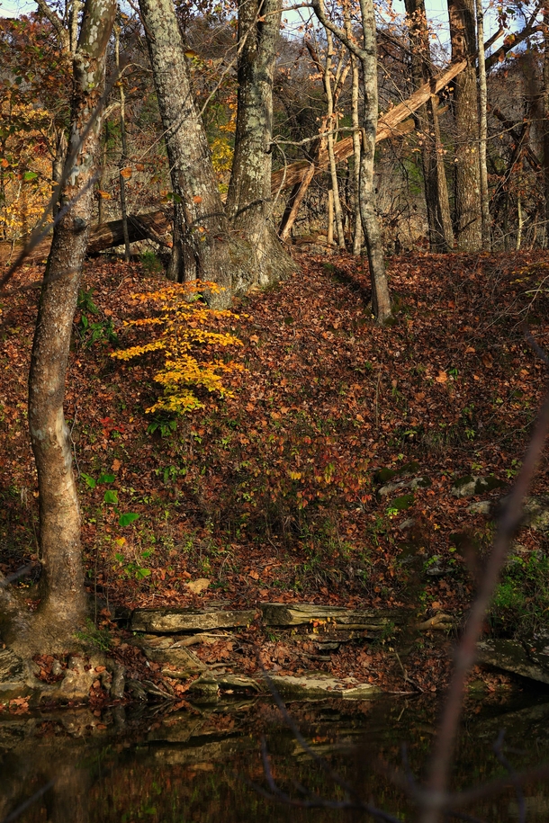 Fall at Clear Creek Bloomington Indiana x 