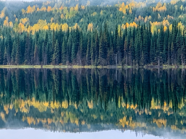 Fall at Coldscaur Lake BC - Canada 