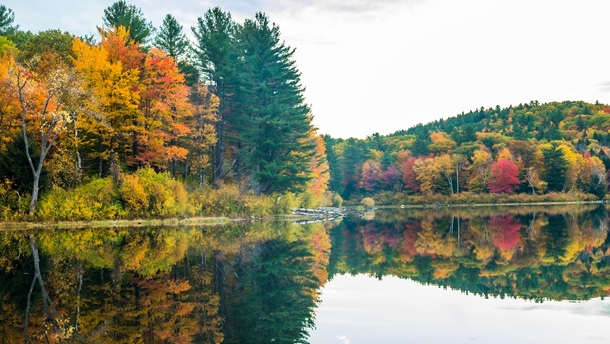 fall colors and reflection New Hampshire US  x 