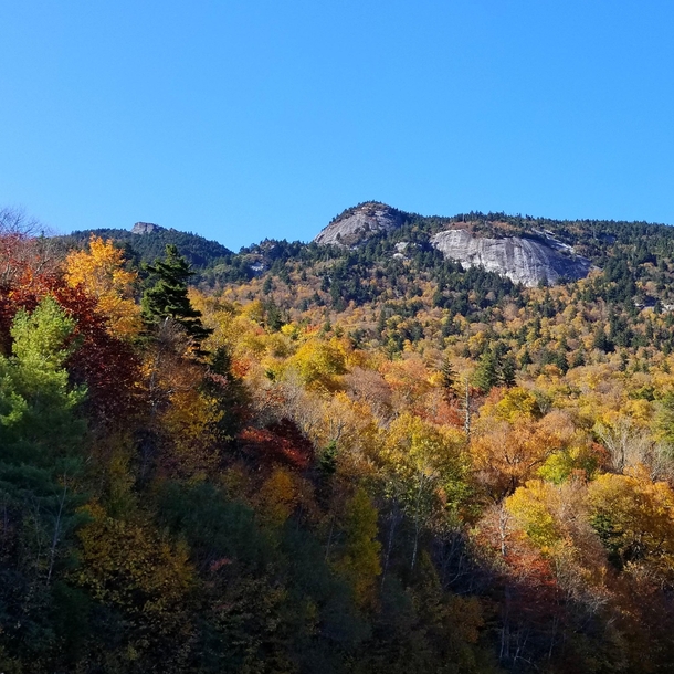 Fall colors are beginning to peak I took this pic on yesterdays drive on the Parkway Blue Ridge Parkway near the Linn Cove Viaduct in North Carolina  x