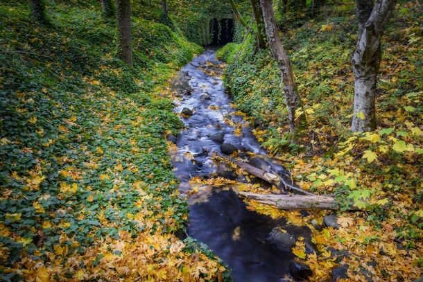 Fall Colors in Oregon 