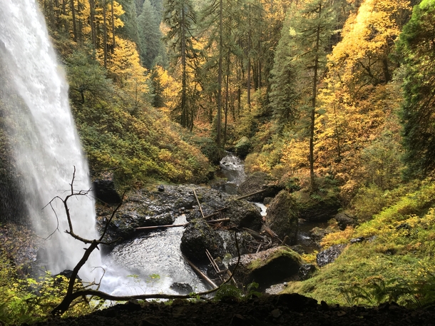 Fall colors in Silver Falls State Park Or 