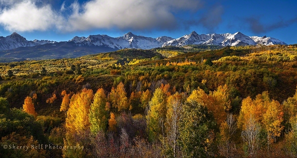 Fall Colors in the San Juan Mountains of Colorado  by Sherry Bell