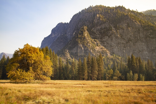 Fall Colors in Yosemite CA 