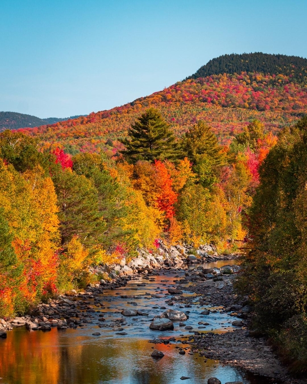 Fall colors nearing peak - White Mountains New Hampshire 