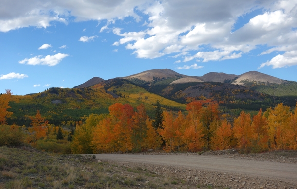 Fall colors of the Boreas Pass Colorado 