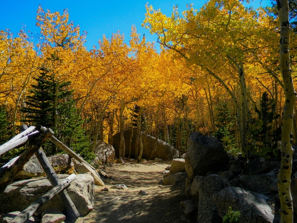 Fall colors starting on Glacier Gorge Trail CO 