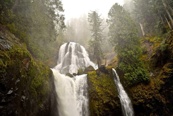 Fall Creek Falls Oregon 
