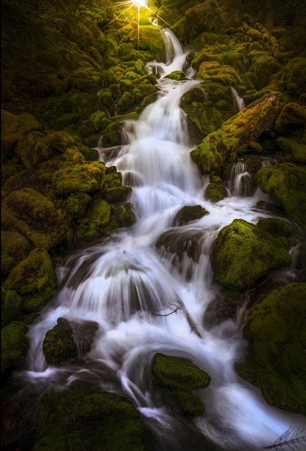 Fall Creek Oregon 