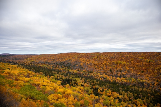Fall Foliage - Brockway Mountain - Michigan 