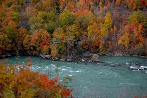 Fall Foliage in the Niagara Gorge 