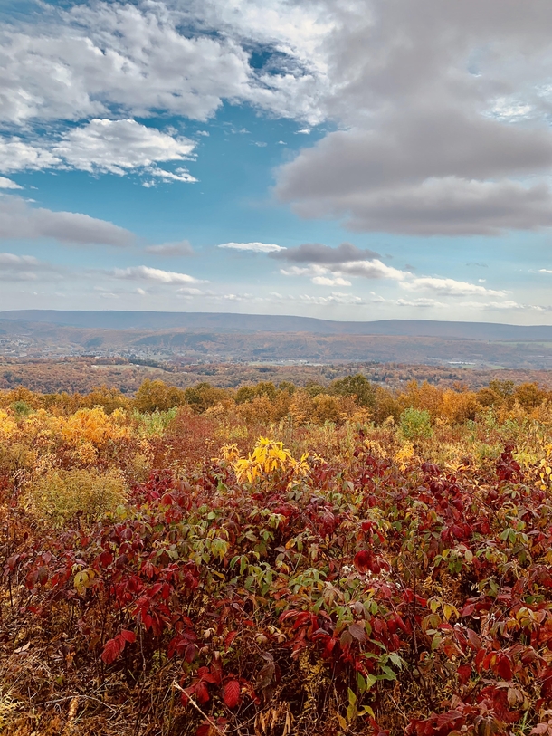 Fall foliage last weekend in Jim Thorpe Pennsylvania  OC