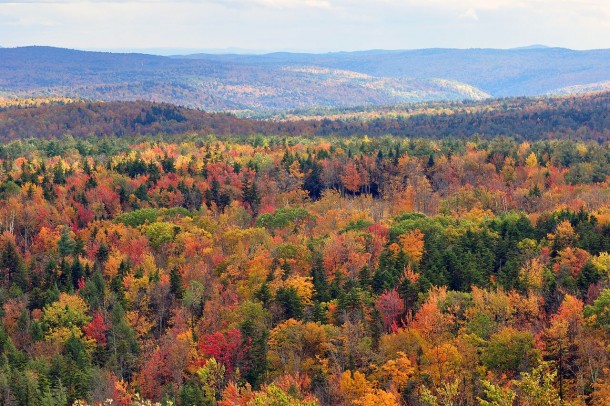Fall Foliage Seen From Hogback Mountain - Wilmington 