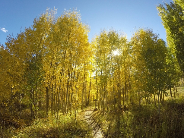 Fall has begun at Gore Creek Colorado 