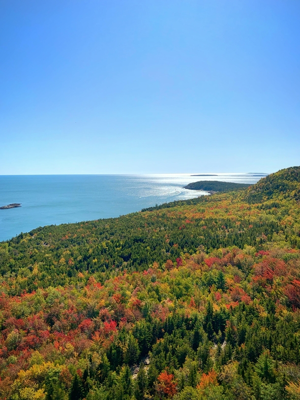Fall  in Acadia National Park 