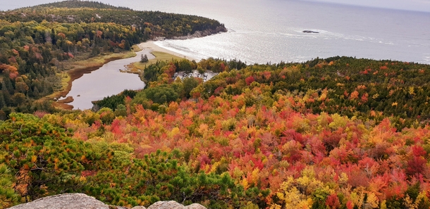 Fall in Acadia National Park Maine 
