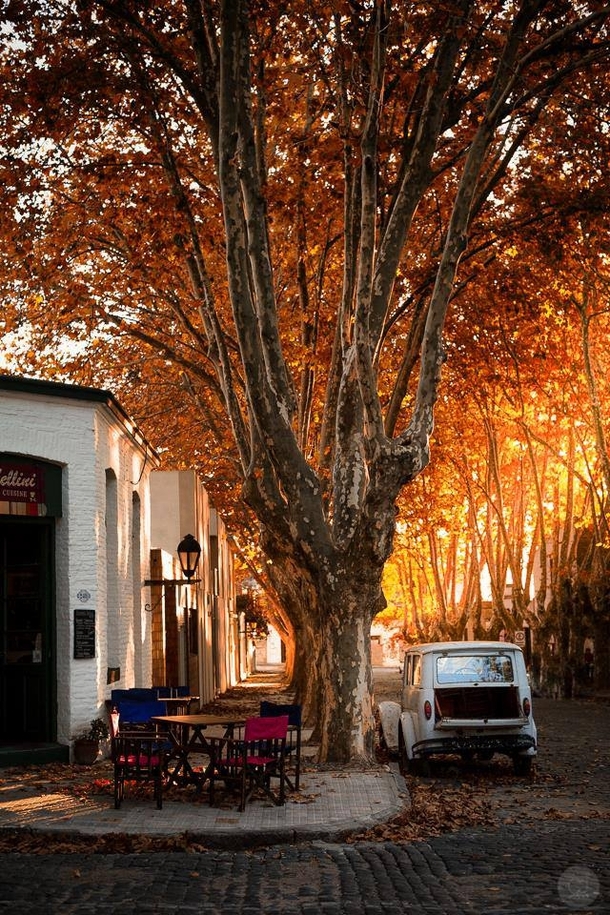 Fall in Colonia del Sacramento Uruguay