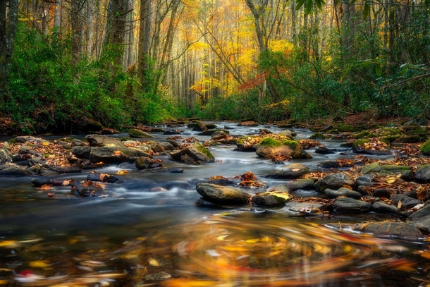 Fall in Great Smoky Mountains National Park North Carolina 
