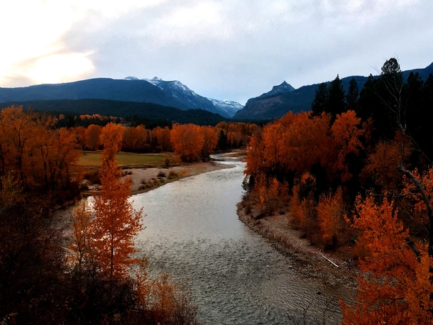 Fall in Montana  x  