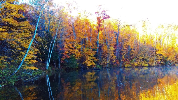 Fall in Northern Wisconsin OC 