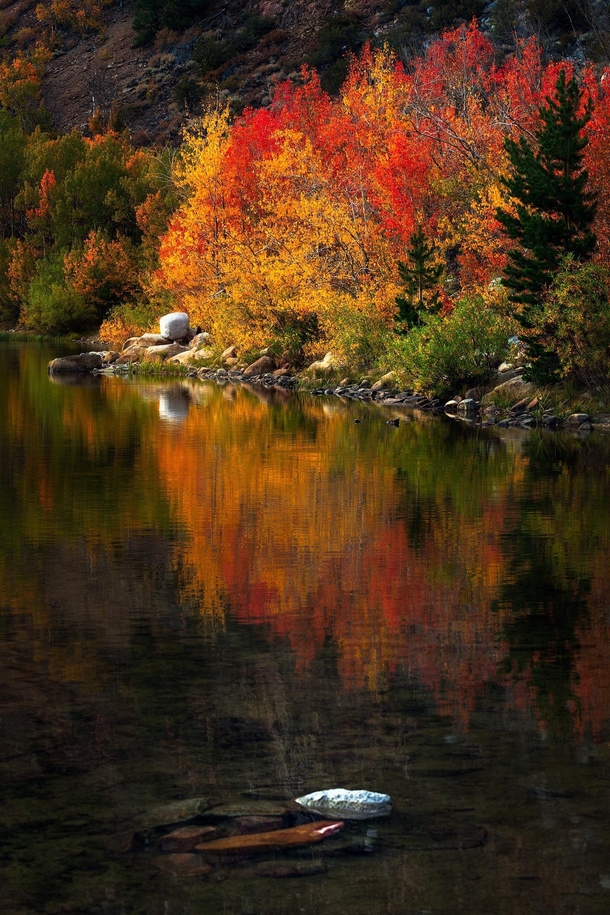 Fall in the Eastern Sierras 
