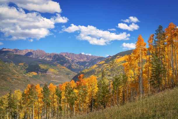 Fall In The High Country - Vail CO 