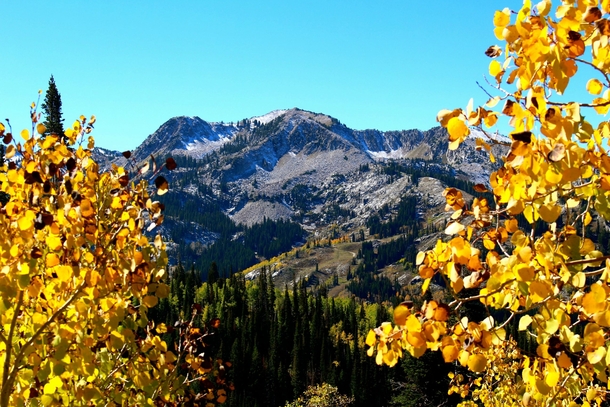 Fall In The Wasatch 
