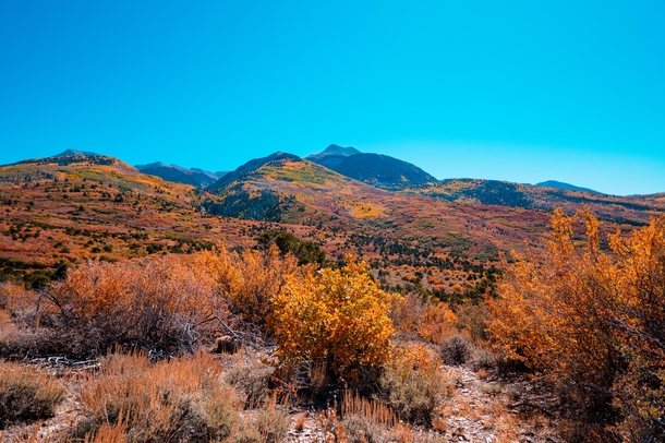 Fall in Utah 