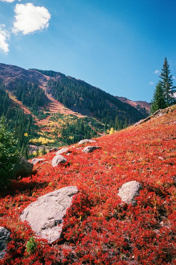 Fall in Vail Colorado 