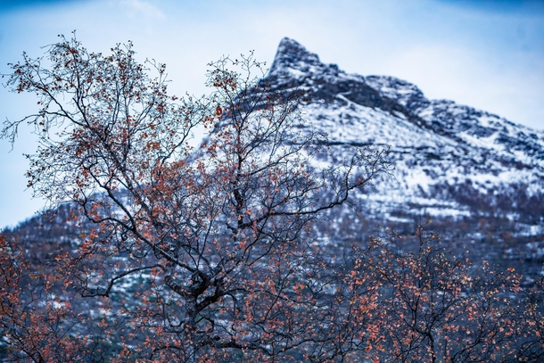 Fall in Western Norway  jchristfjell