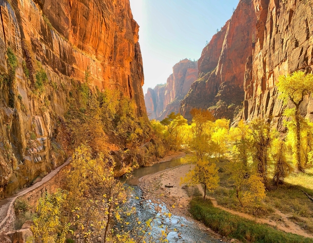 Fall in Zion National Park 