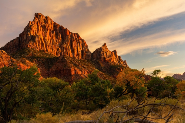 Fall in Zion National Park 