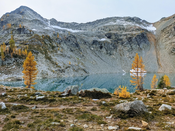 Fall Larches at Wing Lake in Washington State 