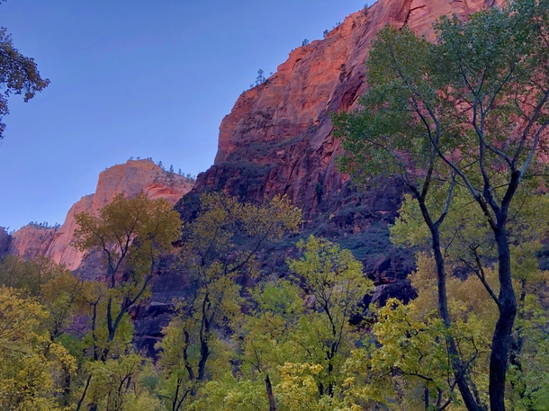 Fall with late evening colors in Zion National Park UT The Narrows 