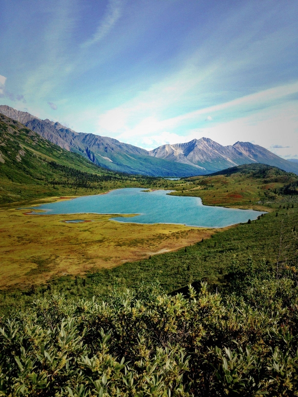 Falls colors in Donoho Basin Alaska Photograph by Amos Almy 
