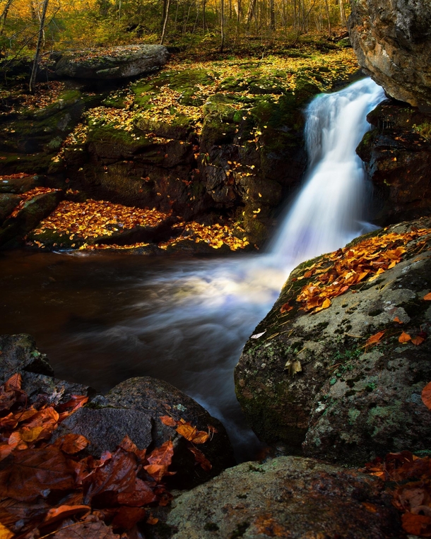 Falls Dressed in Fall Colors - Hazel River Falls - Shenandoah NP Virginia 