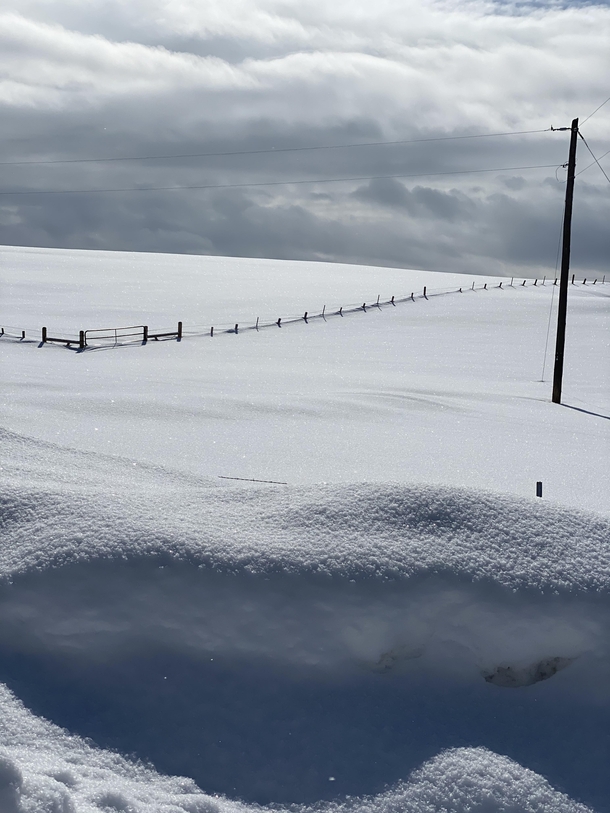 Fence topping snow pack in the Yampa valley CO