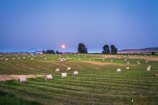 Field in Bozeman MT with Blood Moon from Canadas Forrest Fires  x