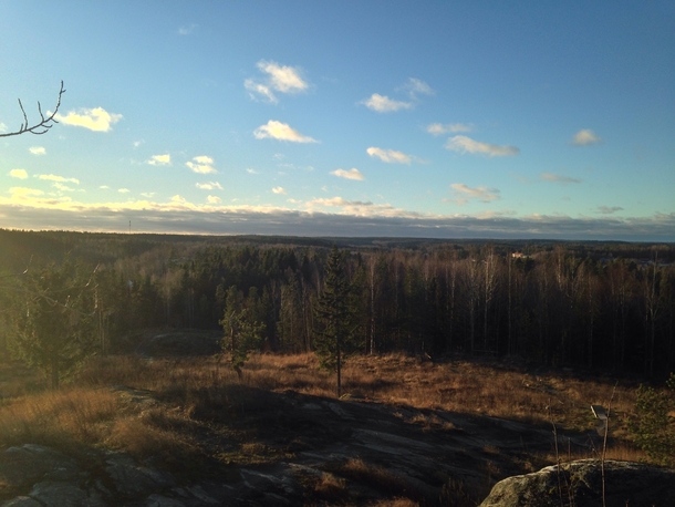 Finland Landscape From Local Hill 