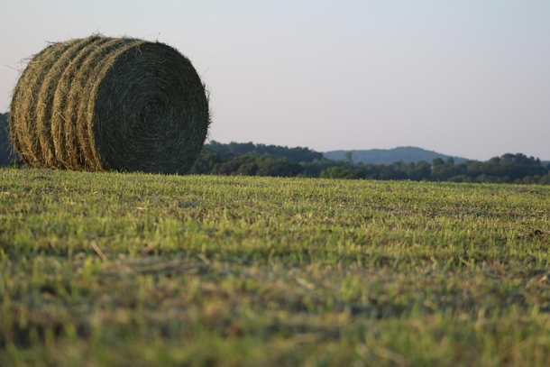 First Hay Bale of the Year - Kentucky 