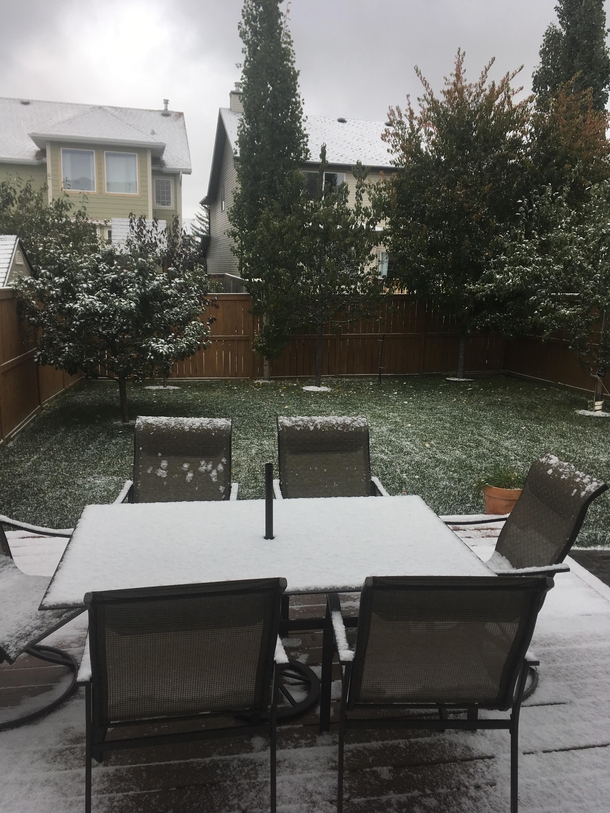 First snowfall in Calgary AB