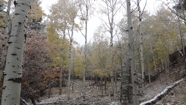 First snowfall of Rampart Range CO Oct  