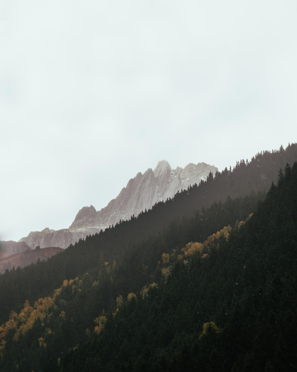 First time in the Swiss Alps with some fall colors peaking through 