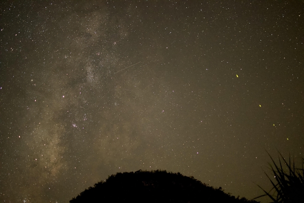 First time photographing the milky way Managed to catch a meteor and firefly 