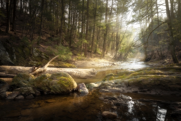 Fishing Creek Nature Preserve Pennsylvania 