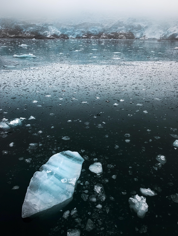 Floating ice around Nordenskild glacier Svalbard 