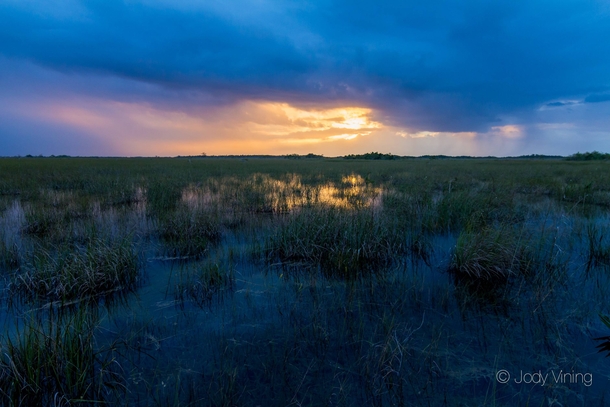 Florida Everglades Sunrise Everglades National Park - 