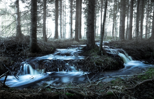 Flow in the forest Sweden 